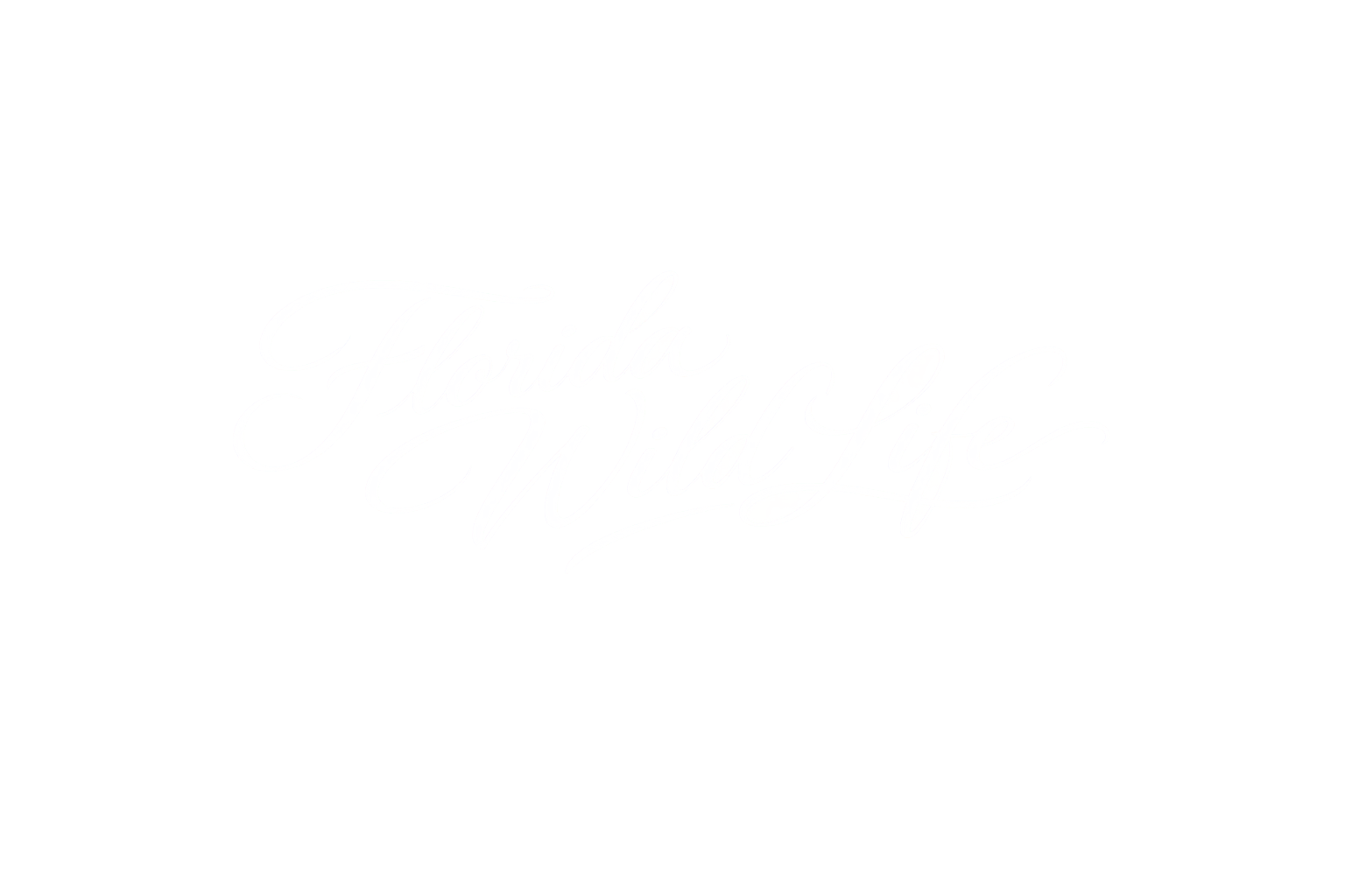 Florida Wild Life
